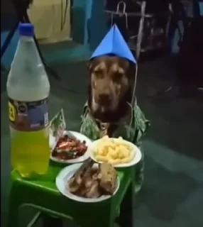 Стикер Матье балл - 2