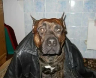 Стикер Матье балл - 6