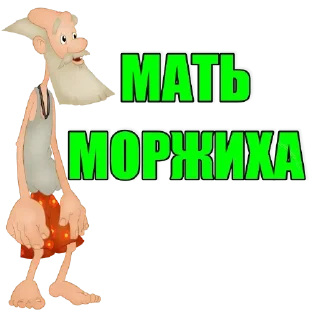 Sticker Walrus @stickersb2b - 9