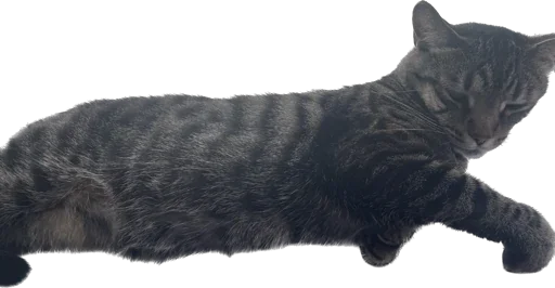 Стикер mats8kris - 1