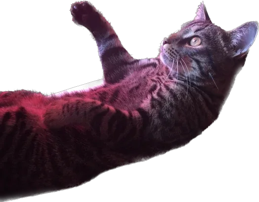 Sticker mats8kris - 1