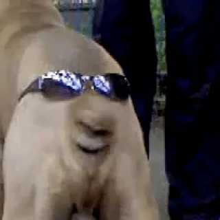 Стикер 8642 ручка трахнула бобра - 8