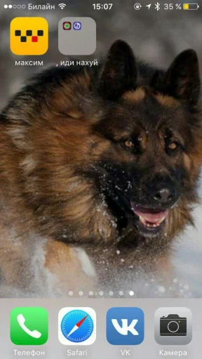 СМС животное млекопитающее