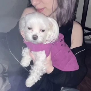 Стикер ✨maya core ✨ - 8