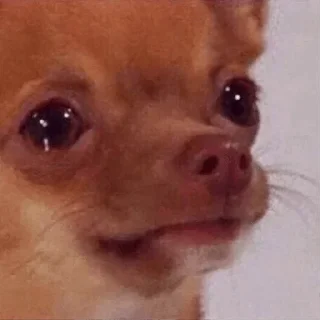 Sticker Больше стикеров тут: @stickers_memy - 7