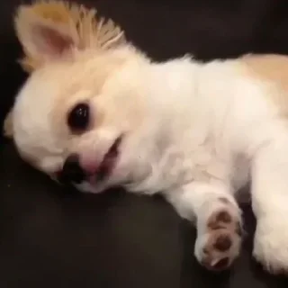 Sticker Больше стикеров тут: @stickers_memy - 6