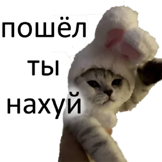 Стикер ГубкО - 5