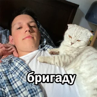 Стикер ГубкО - 4