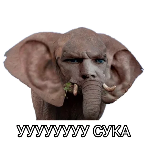 животное млекопитающее СМС