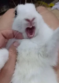 Sticker Больше стиков тут: @stikery4 - 11