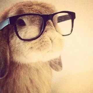 Sticker Больше стиков тут: @stikery4 - 2