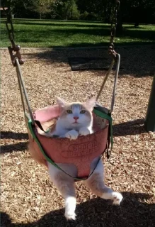 Sticker Мои стикеры - 1