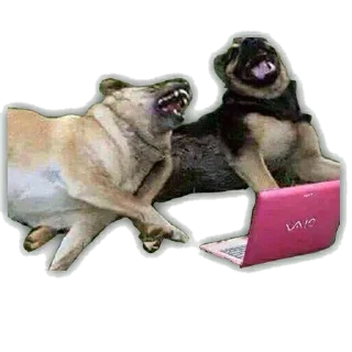 Стикер mdvdBest - 10