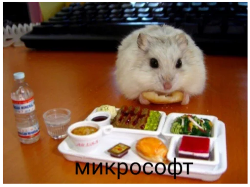Стикер Мясо - 8