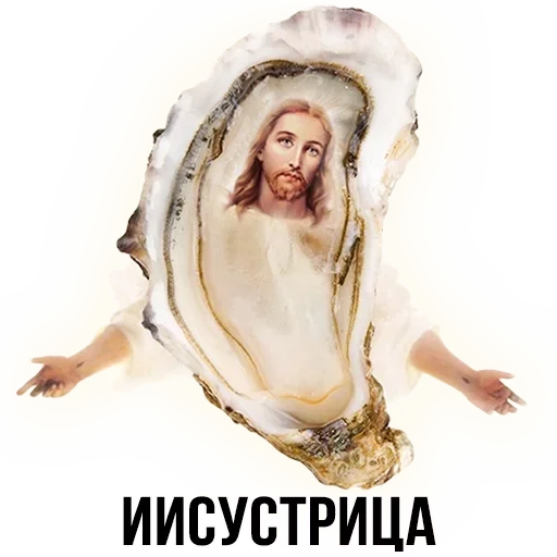 человеческое лицо беспозвоночный женщина