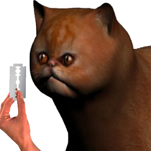 Sticker будешь бегать с нами? - 3