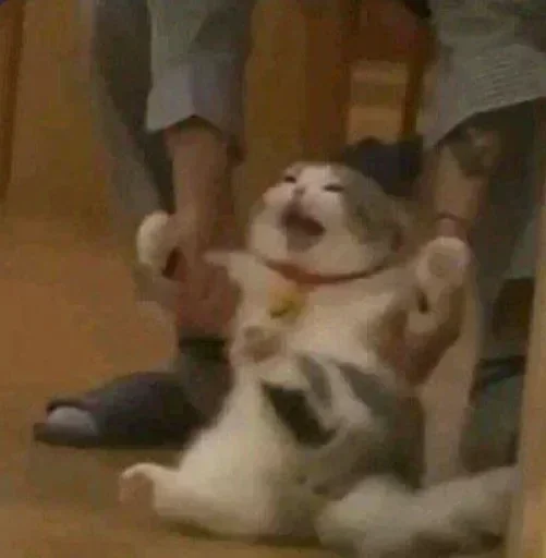 Sticker a medium roast mix @pointlessC - 3