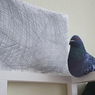 Стикер медоре кинне by @dehydr - 5