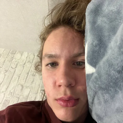 Sticker medvedaun - 1