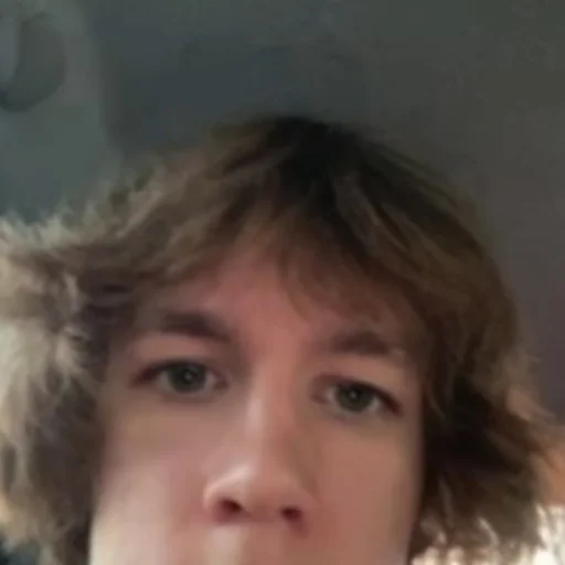 медвед отчим - 