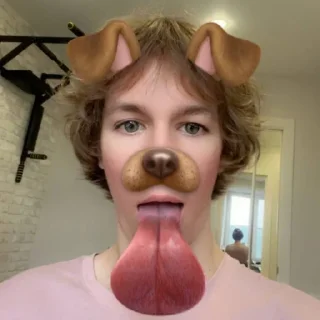 Sticker медвед отчим - 9