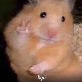 Sticker Я еблан и это мой первый пак - 4