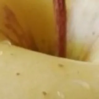 Sticker 🍏 by @my_unrefined - 3