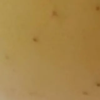 Sticker 🍏 by @my_unrefined - 11