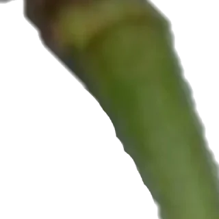 Стикер 🍒 by @my_unrefined - 8