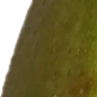 Sticker 🧚 by @my_unrefined - 8