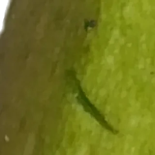 Sticker 🧚 by @my_unrefined - 9