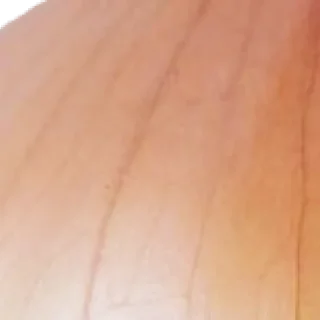 Стикер 🧅 by @my_unrefined - 7