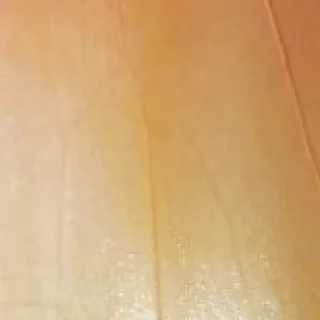 Стикер 🧅 by @my_unrefined - 2