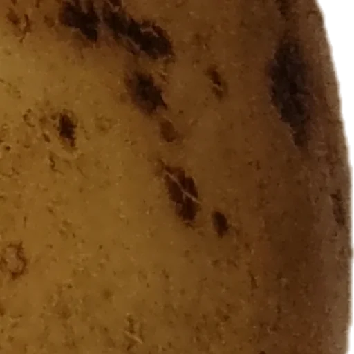 Sticker mega_POTATOE_by_my_unrefined - 1