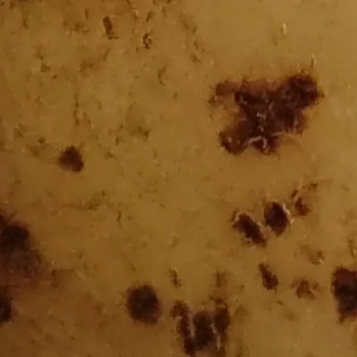 Sticker mega_POTATOE_by_my_unrefined - 1