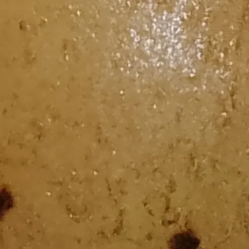 Sticker mega_POTATOE_by_my_unrefined - 1