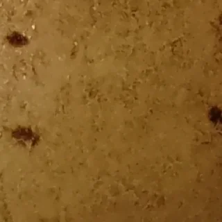 Sticker 🥔 by @my_unrefined - 4