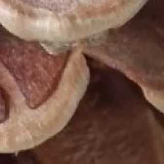 Sticker 🥹🤓 by @my_unrefined - 2