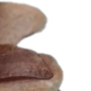 Sticker 🥹🤓 by @my_unrefined - 5