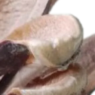 Sticker 🥹🤓 by @my_unrefined - 4