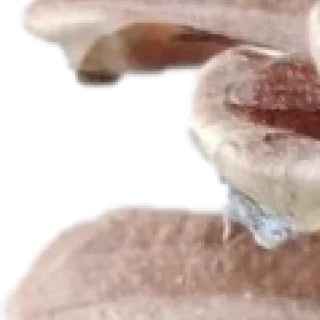 Sticker 🥹🤓 by @my_unrefined - 1