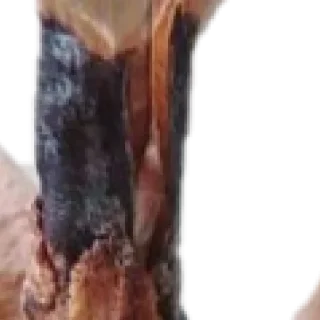 Sticker 🥹🤓 by @my_unrefined - 3