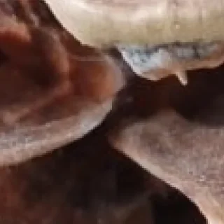 Sticker 🥹🤓 by @my_unrefined - 9