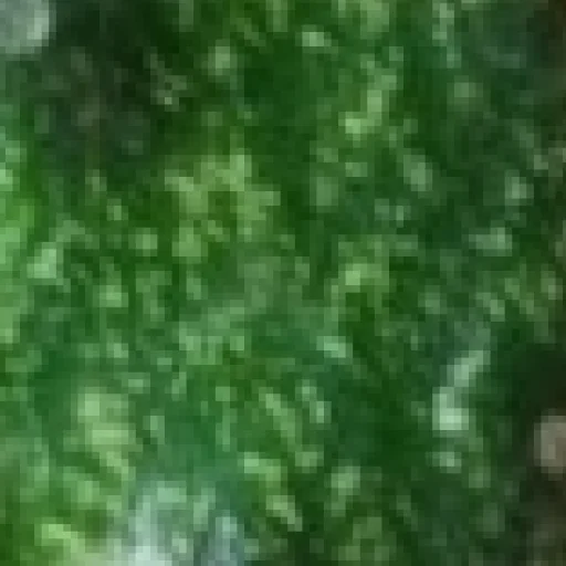 Sticker mega_cucumber_by_my_unrefined - 1