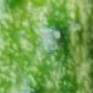 Стикер 🥒 by @my_unrefined - 8