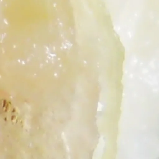 Стикер мегаогрызок by @my_unrefined - 4