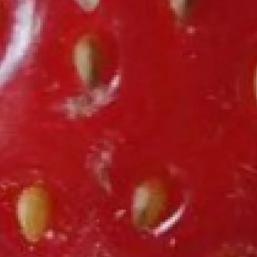 Sticker mega_strawberry_by_my_unrefined - 1