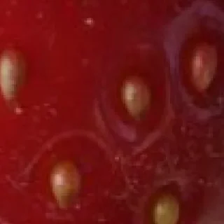 Sticker 🍓 by @my_unrefined - 7