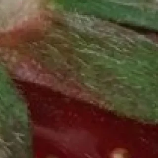 Sticker 🍓 by @my_unrefined - 3