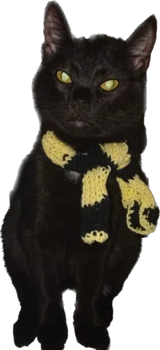 Sticker Пыня - 0